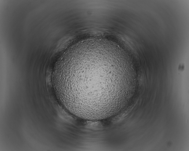 X0000090460185200708031250