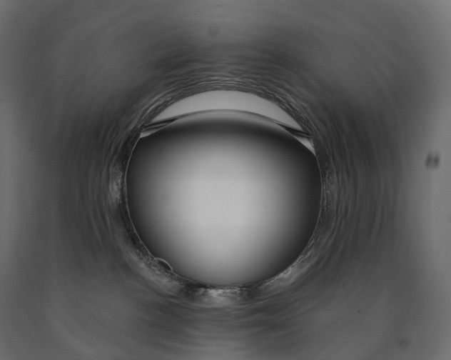 X0000090460188200708031250