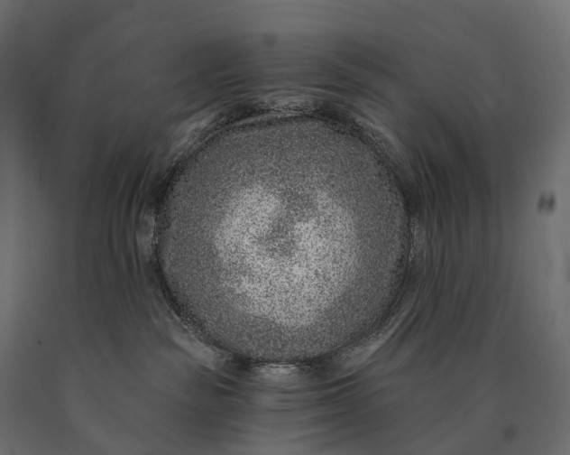 X0000090460189200708031250