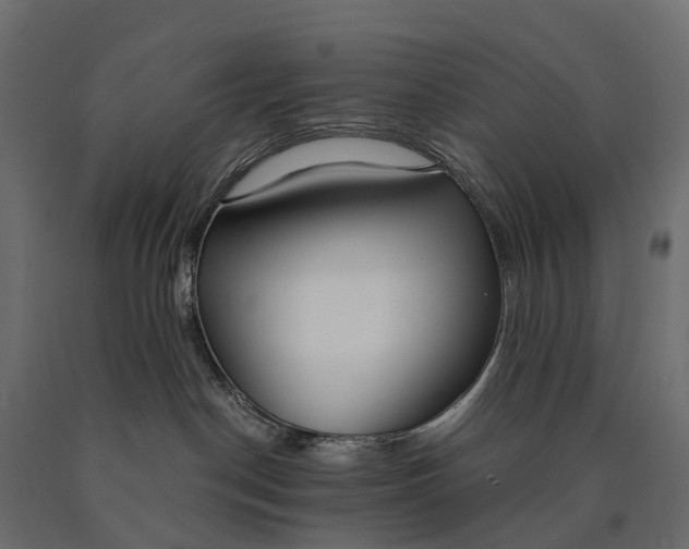 X0000090460190200708031250