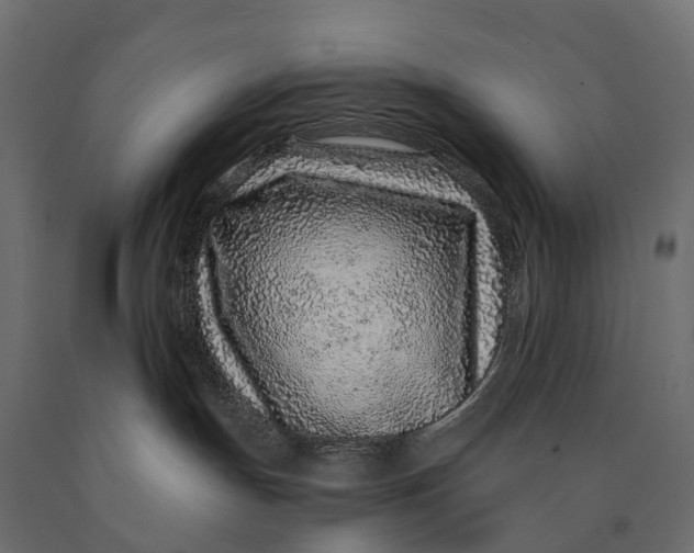 X0000090460191200708031250