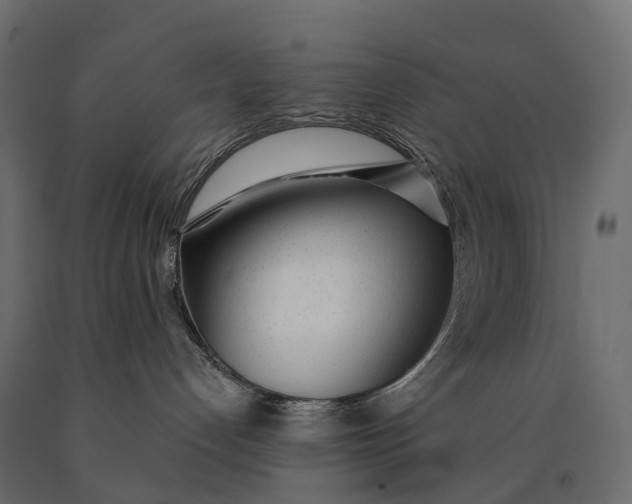 X0000090460192200708031250