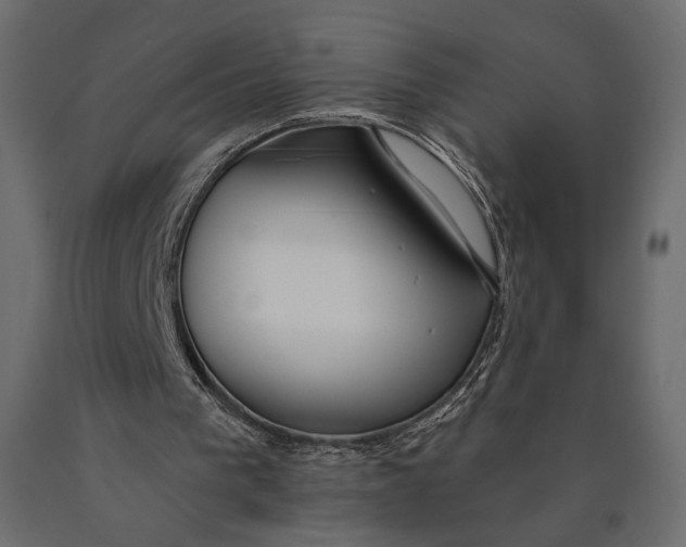 X0000090460193200708031249