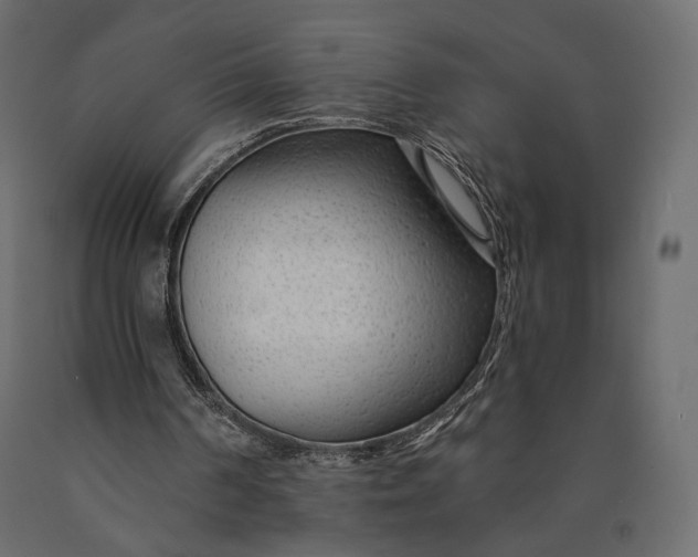 X0000090460194200708031249