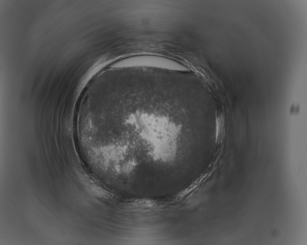 X0000090460195200708031249