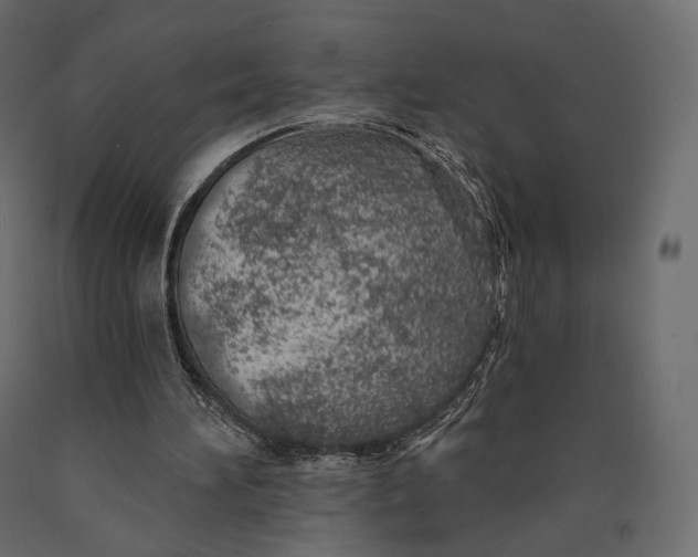 X0000090460196200708031249