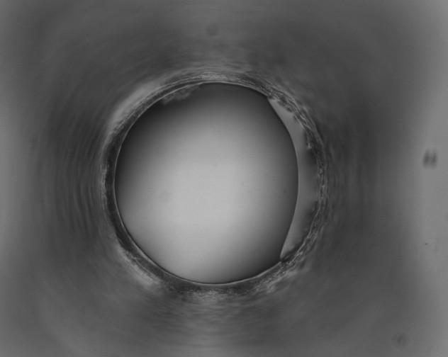 X0000090460197200708031249