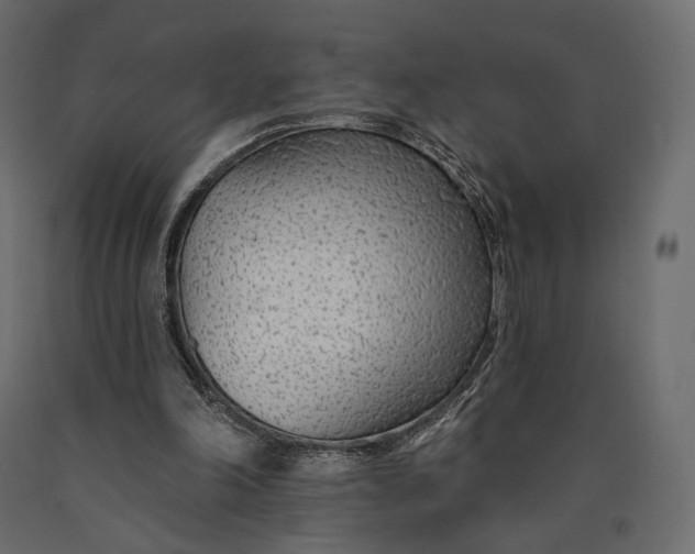 X0000090460198200708031249