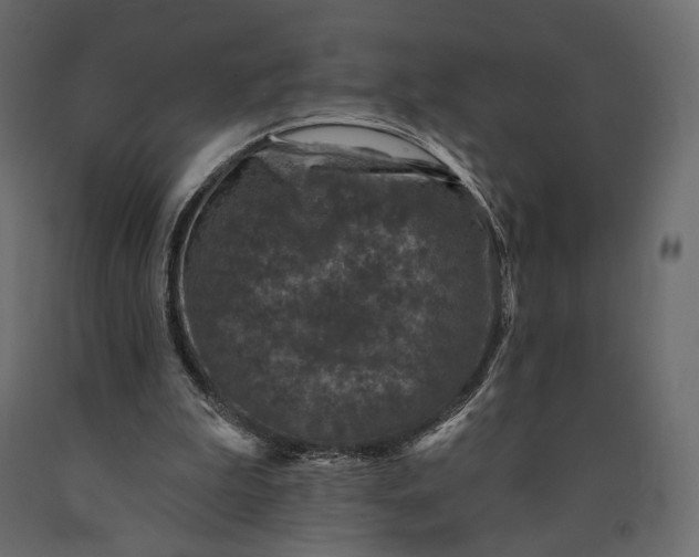 X0000090460199200708031249
