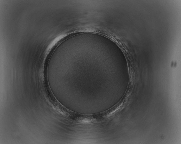 X0000090460200200708031249