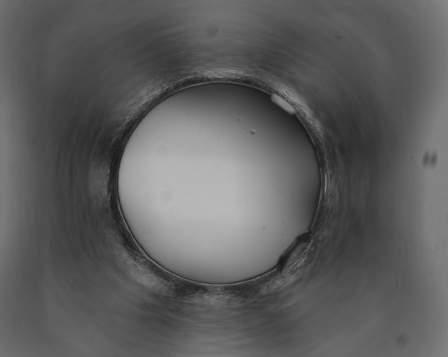 X0000090460201200708031249