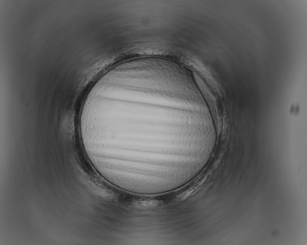 X0000090460202200708031249
