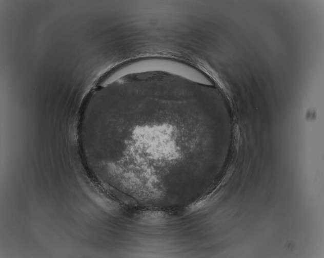 X0000090460203200708031249