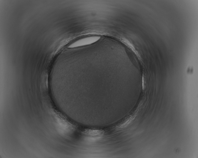 X0000090460205200708031249