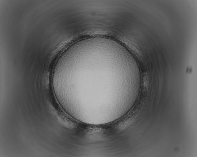 X0000090460206200708031249