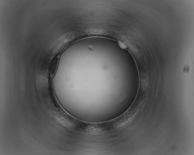 X0000090460207200708031249