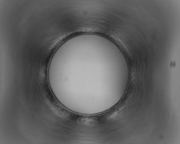 X0000090460208200708031249