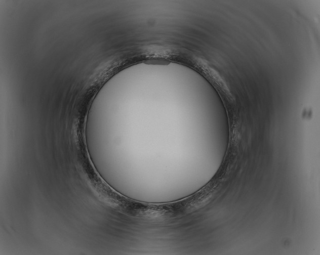 X0000090460209200708031249