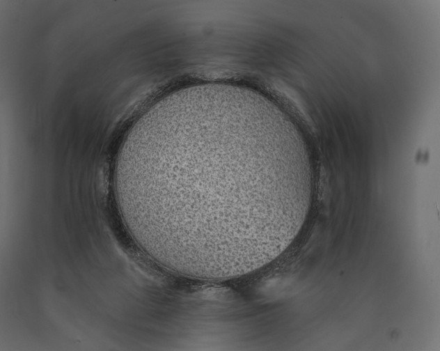 X0000090460210200708031249