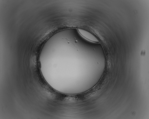 X0000090460211200708031249