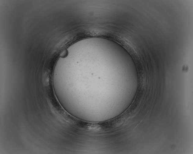 X0000090460214200708031249