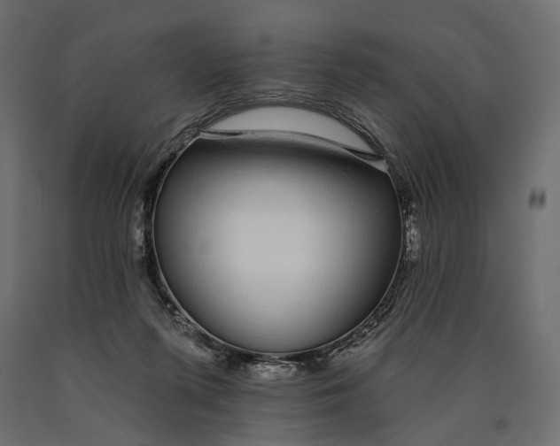 X0000090460215200708031249