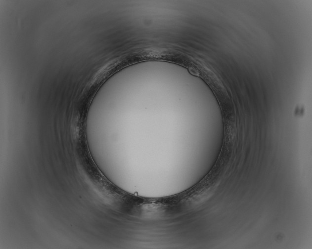 X0000090460216200708031249