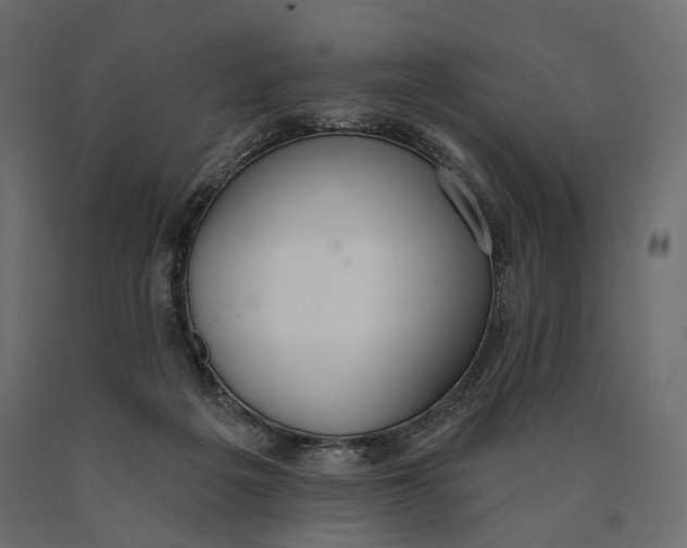 X0000090460217200708031249