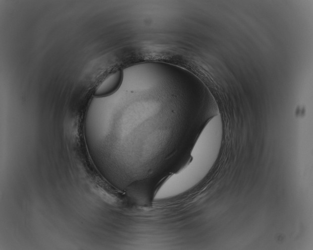 X0000090460219200708031249