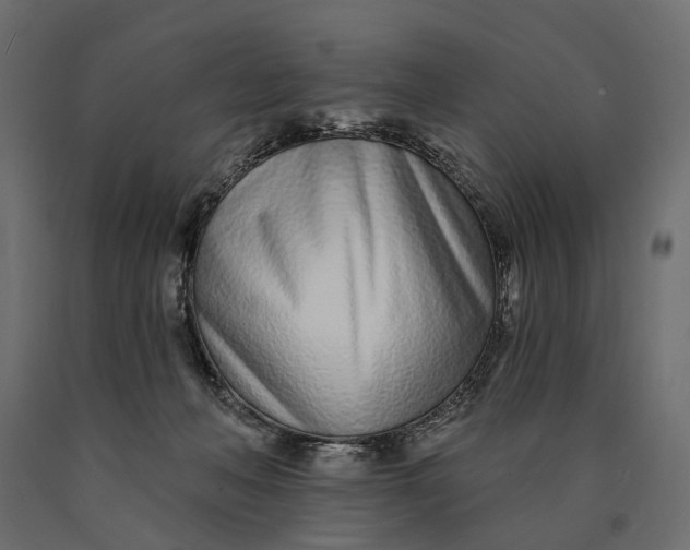 X0000090460222200708031249