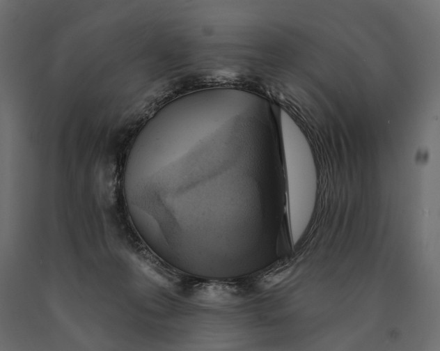 X0000090460223200708031249