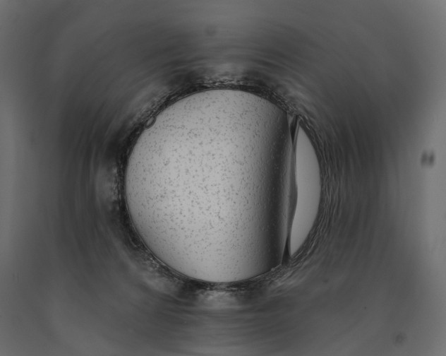 X0000090460224200708031249