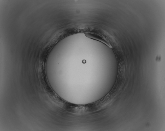 X0000090460225200708031249