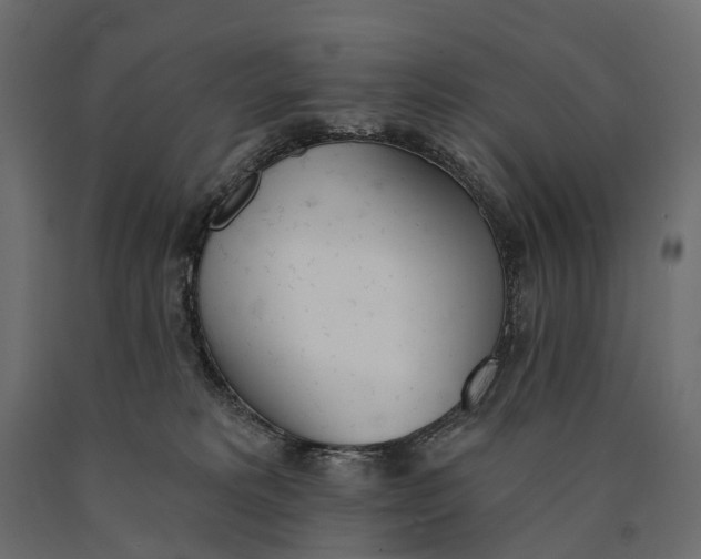 X0000090460229200708031249