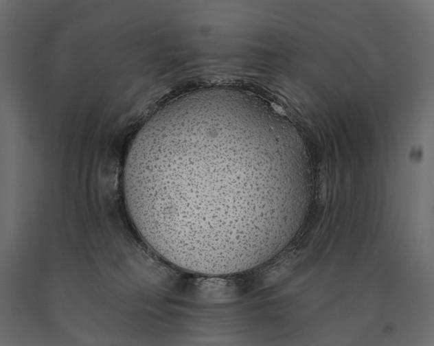 X0000090460230200708031249