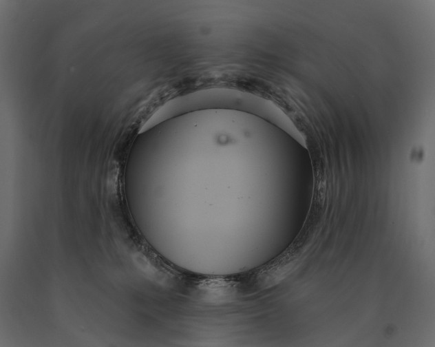 X0000090460231200708031249