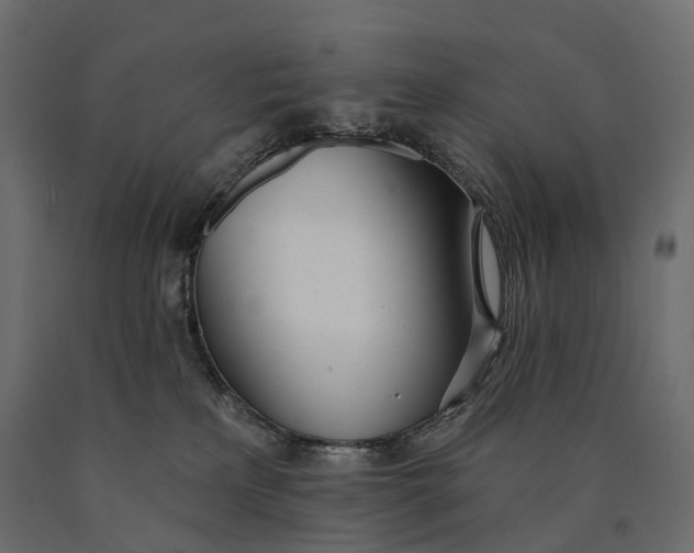 X0000090460233200708031248