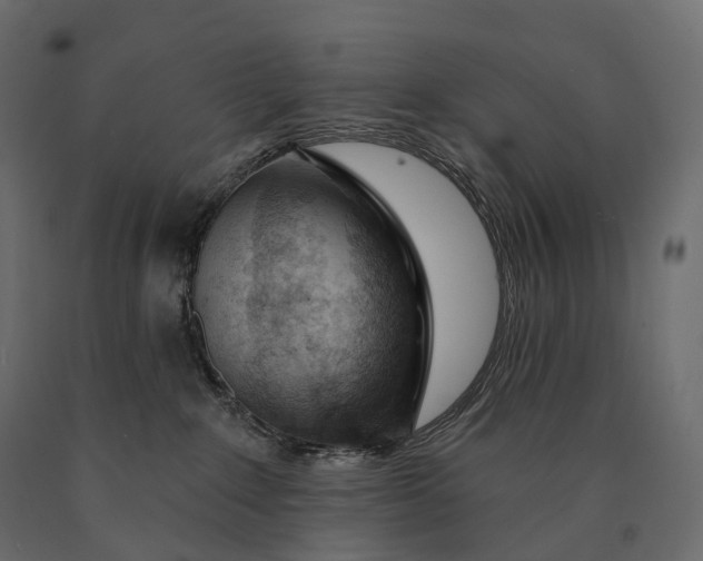 X0000090460235200708031248