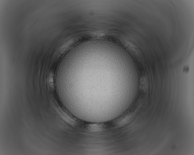 X0000090460238200708031248