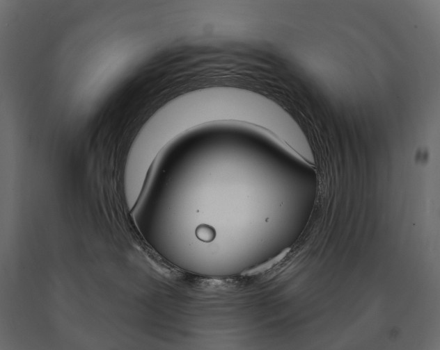 X0000090460239200708031248