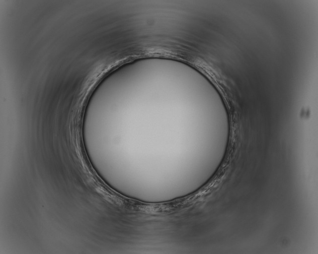 X0000090460241200708031248