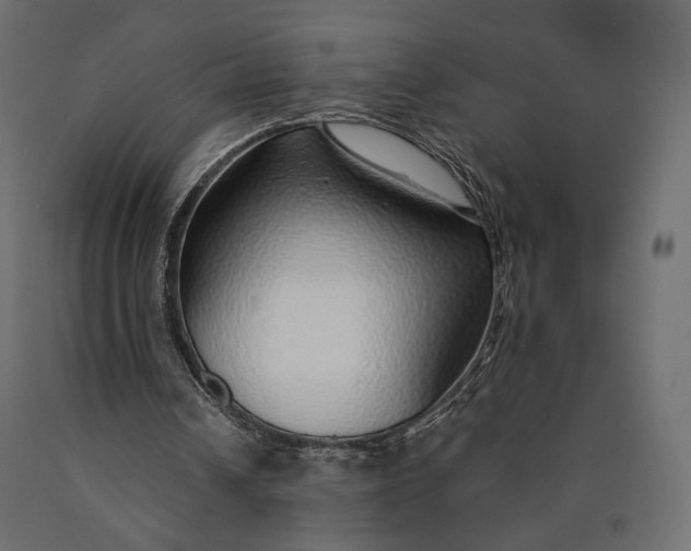 X0000090460242200708031248