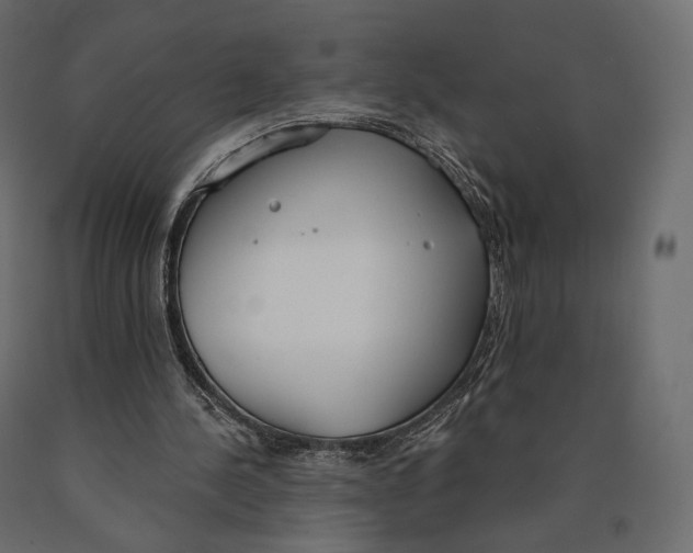 X0000090460244200708031248