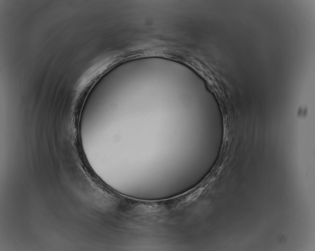 X0000090460245200708031248
