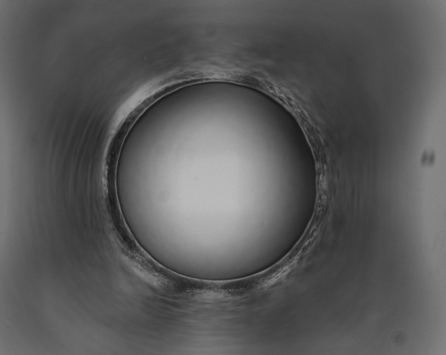 X0000090460246200708031248