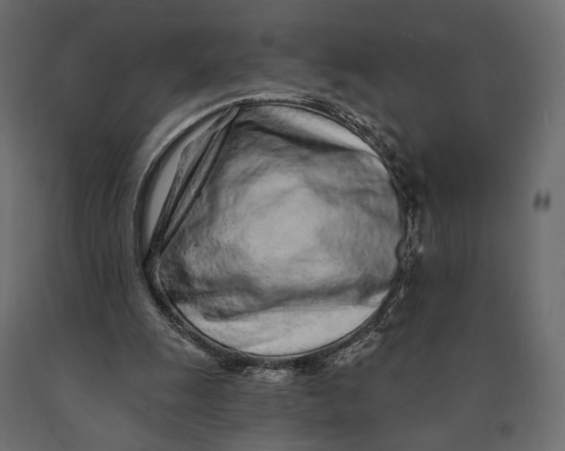 X0000090460247200708031248