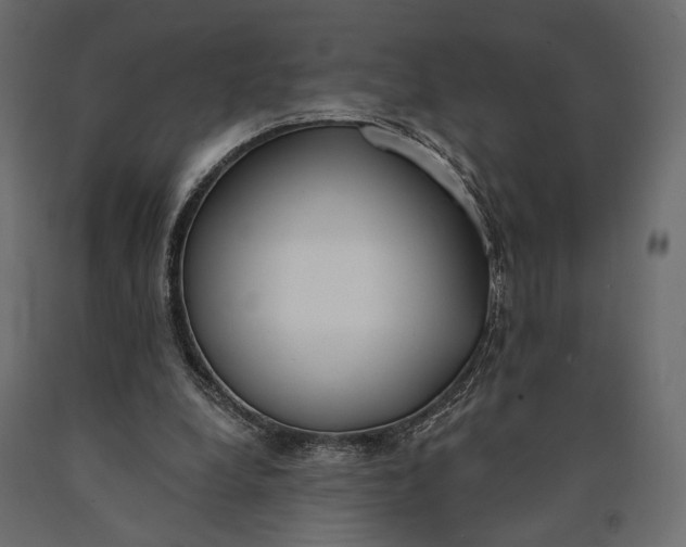 X0000090460248200708031248