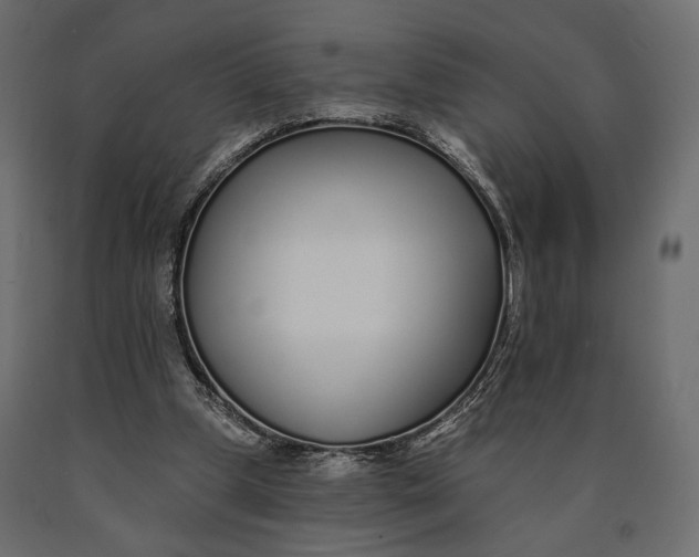X0000090460249200708031248