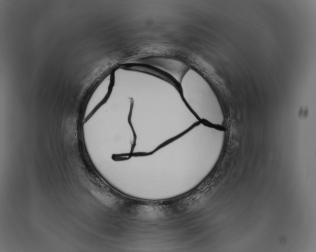 X0000090460250200708031248