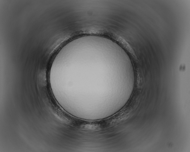 X0000090460251200708031248